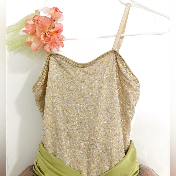 Pink, Green, Gold, Ballet/Lyrical Dance Costume, leotard with pink/grey tool. - Picture 6 of 6